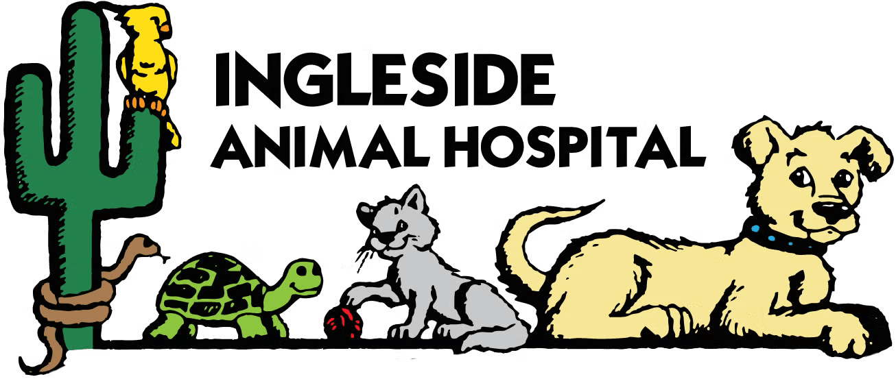 Ingleside animal hospital