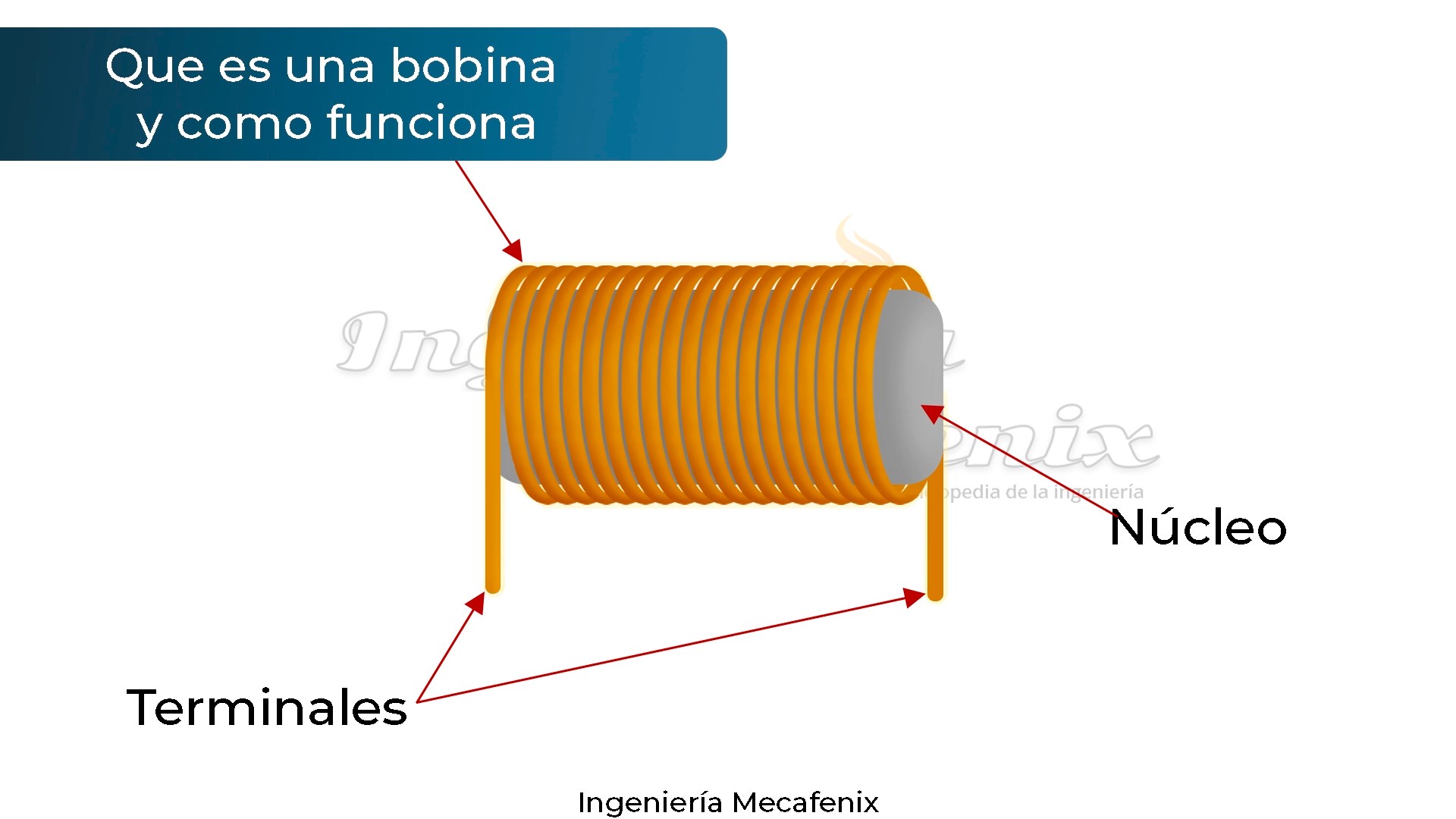 Bobina