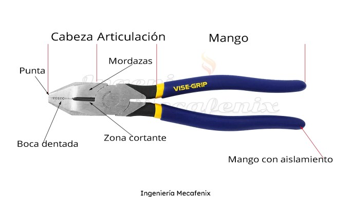 Partes pinzas