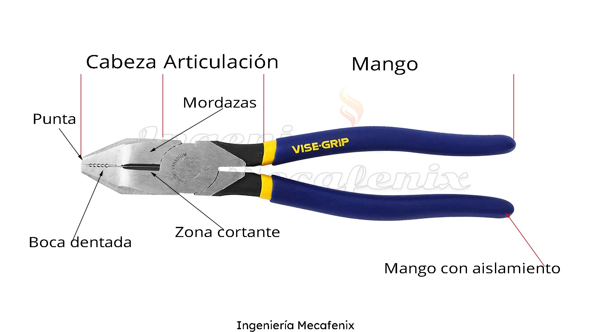 homosexual Similar Tranquilidad de espíritu Tipos de alicates (pinzas) y para que sirven - Ingeniería Mecafenix