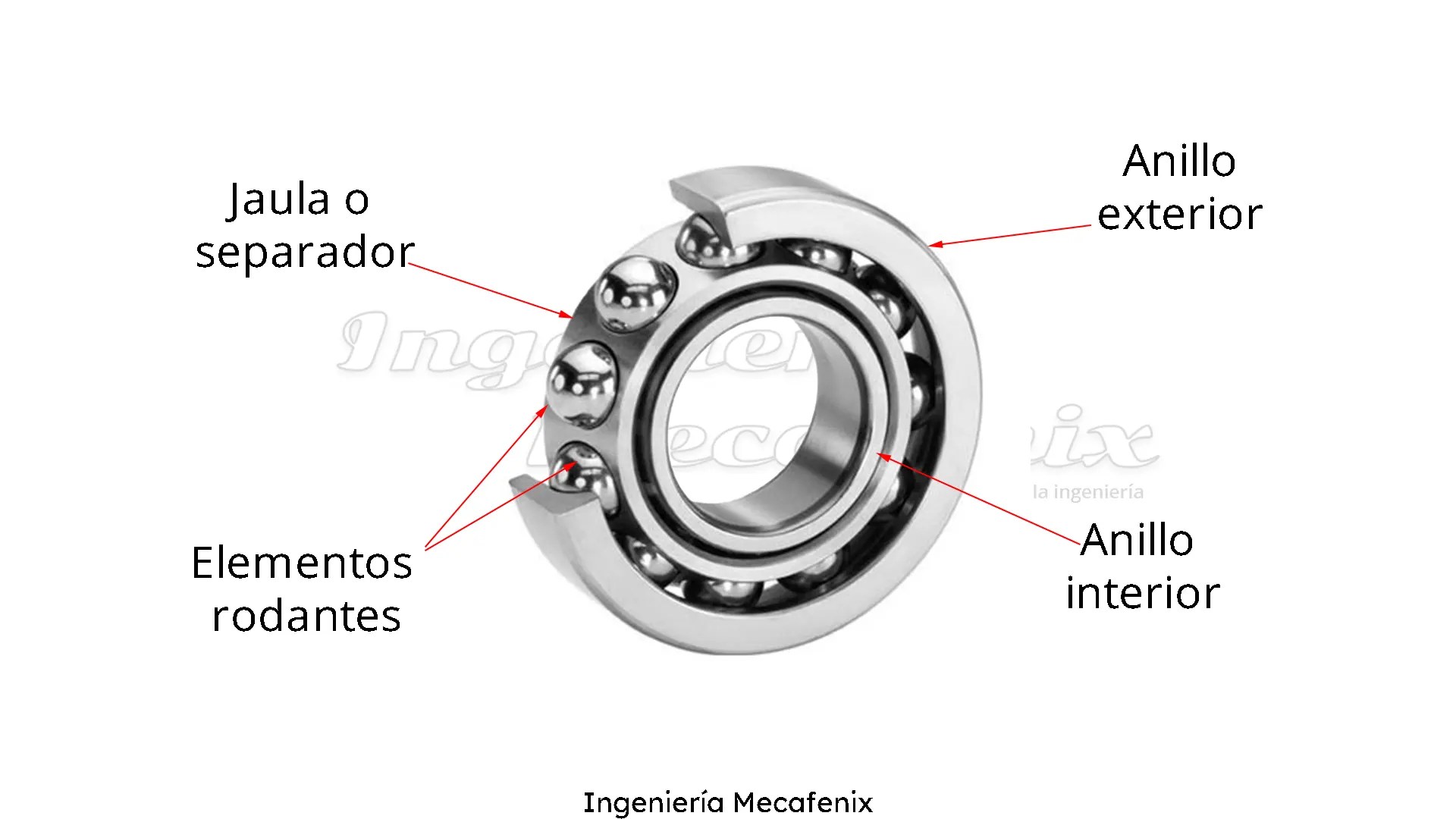 Partes Rodamiento
