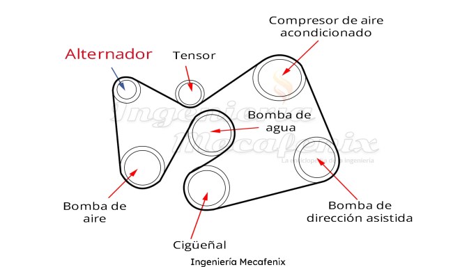 Banda de distribución