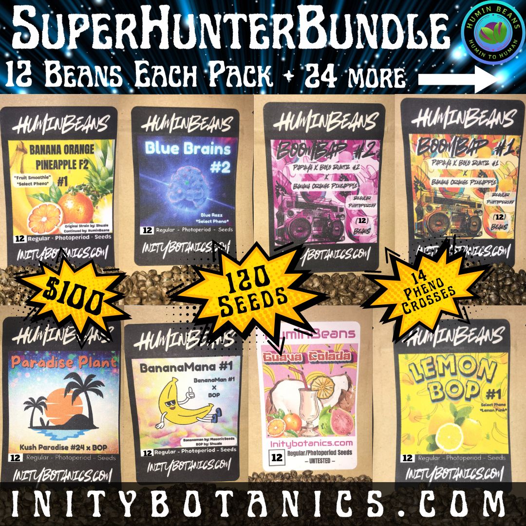 SuperHunterBundle – Banana Orange Pineapple F2 / Outcrosses – 120