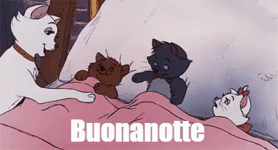 Immagini Della Buonanotte Cartoline E Gif Animate Scaricale E Condividile Con Chi Vuoi Tu