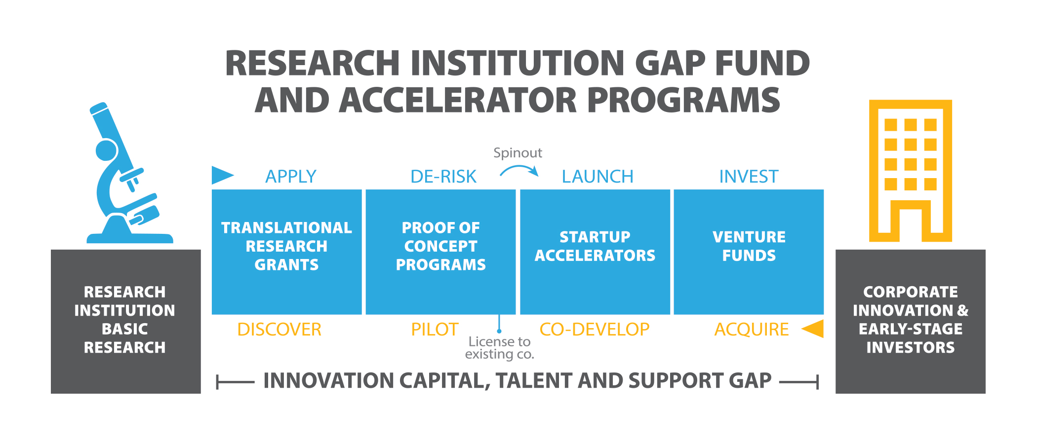 University Tech and Startup Gap Fund and Accelerator Programs