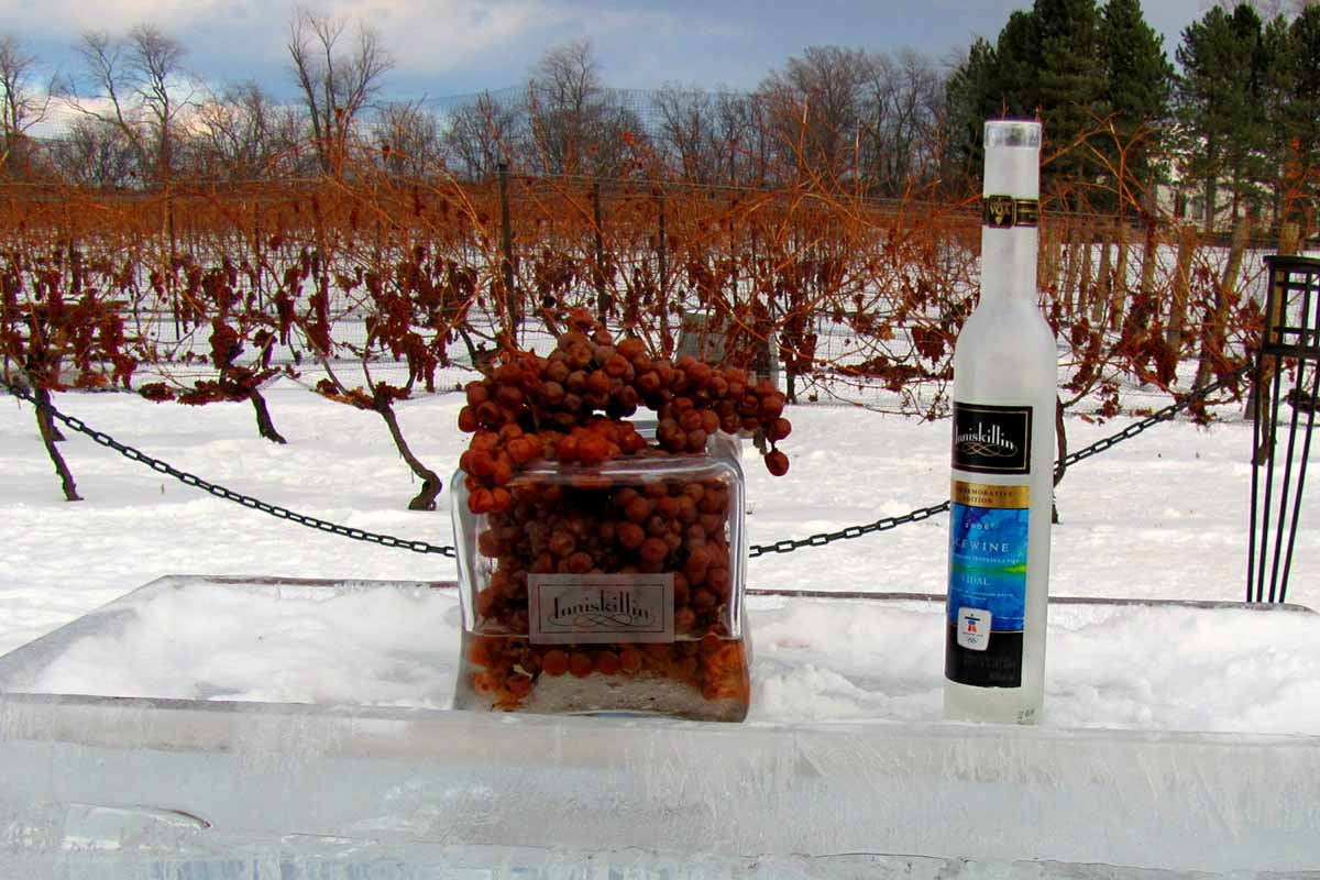 An Intro To Icewine A Wine Crafted From Temperature Extremes Insidehook