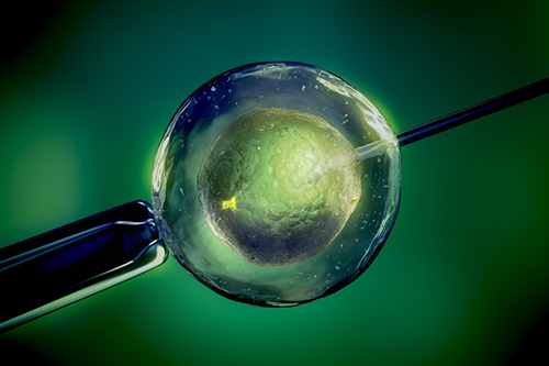 Fertility Treatments and Cancer Risk: What You Need to Know (2026)
