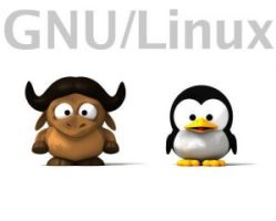 come fare gnu/linux