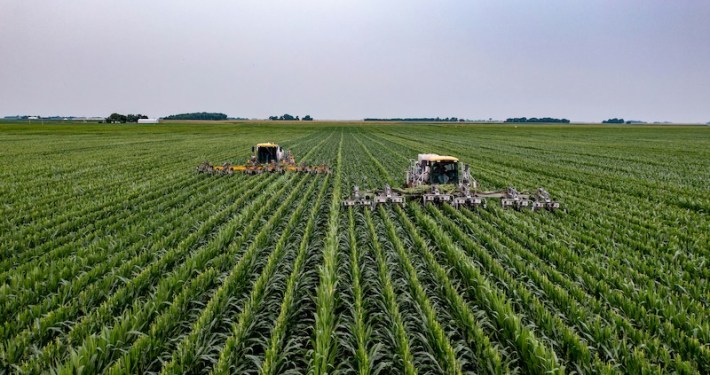 sustainable agribusiness