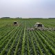 sustainable agribusiness