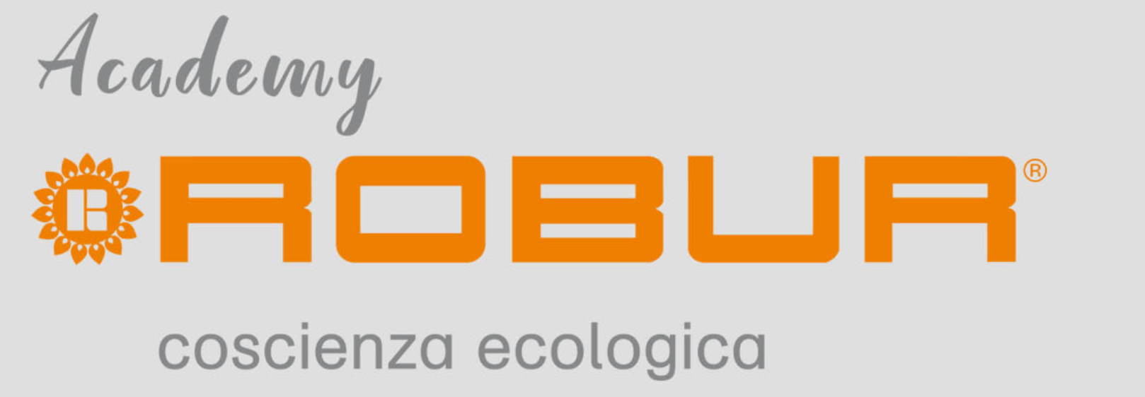 Formazione, I Corsi Online Di Robur In Programma A Maggio E Giugno - Installatore Professionale 562_x_1618_png