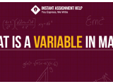A Guide To Understand Few Things About Variable In Math