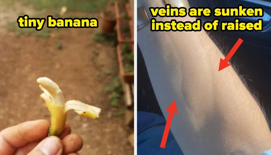 22 Incredibly Rare Photos That'll Completely Change Your Perception Of The Entire World