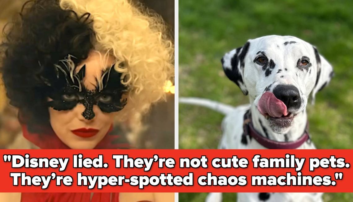 22 Of The "Worst" Dog Breeds For First-Time Dog Owners, From Huskies To Doodles To Dalmatians