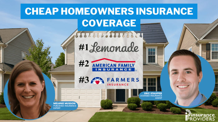 Cheap Homeowners Insurance Coverage in 2026 [Low Rates With These 10 ...