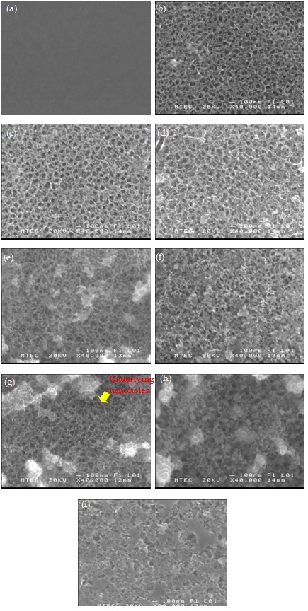 Scanning Electron Microscope For Characterising Of Micro And Nanostructured Titanium Surfaces Intechopen