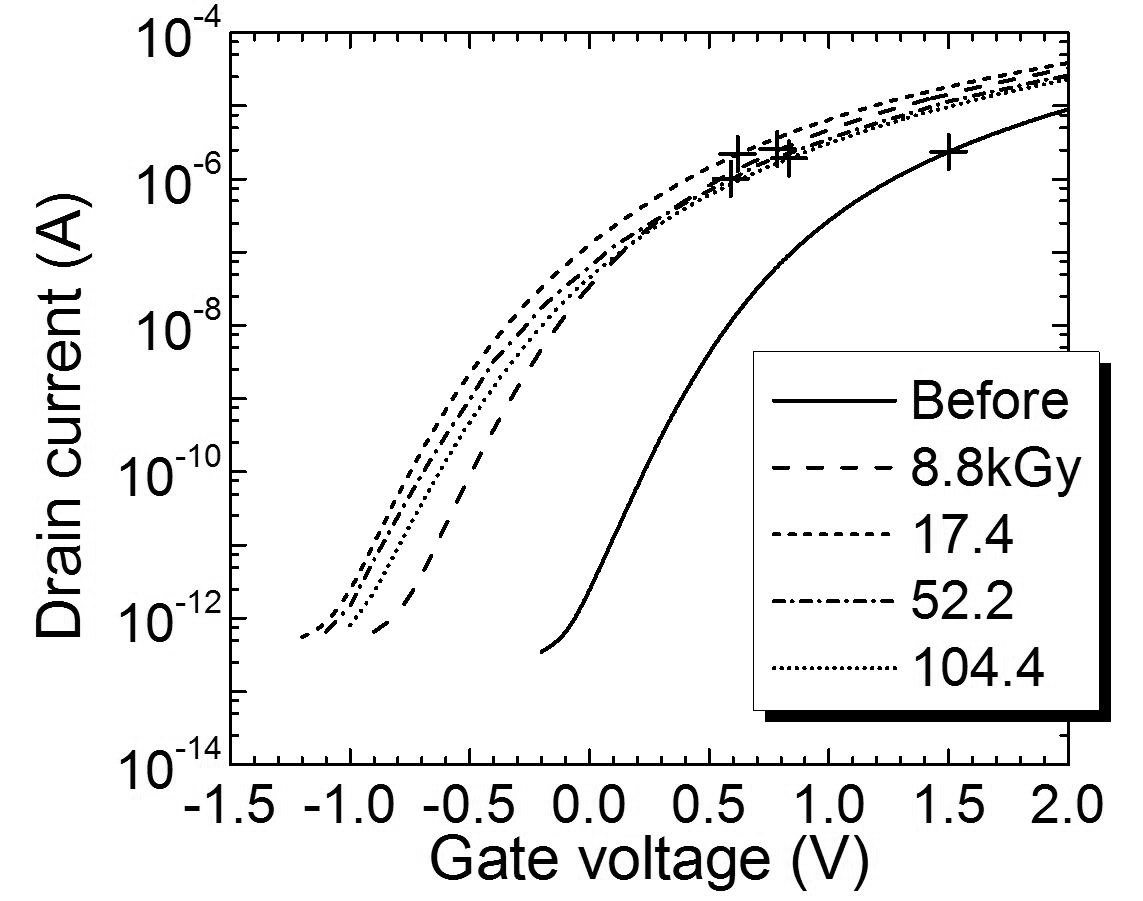 Radiation Response Of Silicon Carbide Diodes And Transistors