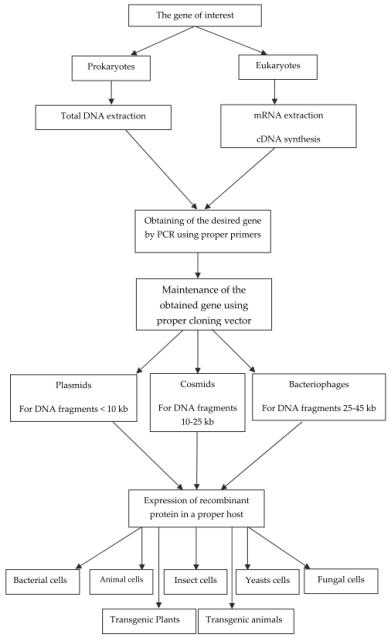 pic Microbial Contamination Test In Pharmaceuticals microbial quality concerns for biopharmaceuticals intechopen