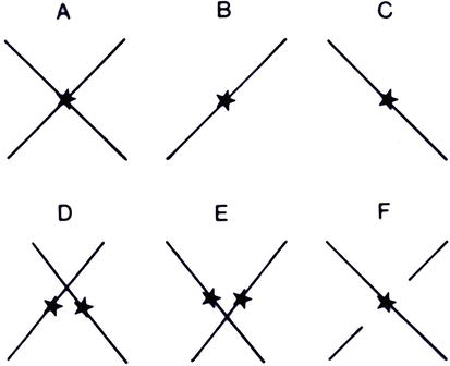 Vertical Diplopia Meaning : Diplopia Developed In Later Life An Ophthalmologic Approach Intechopen