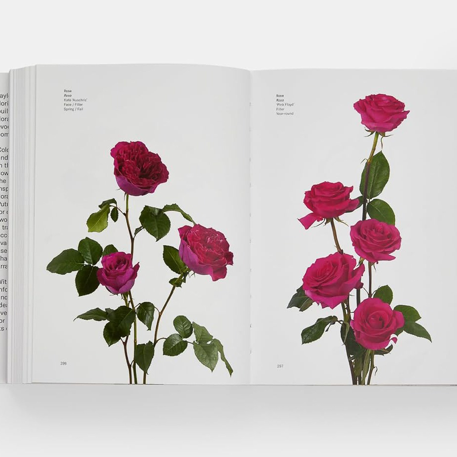 libros de flores floristas