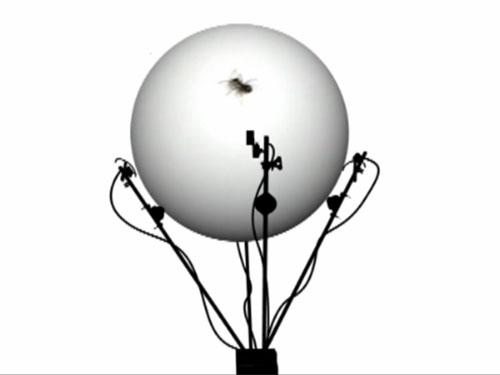 The Godot Machine