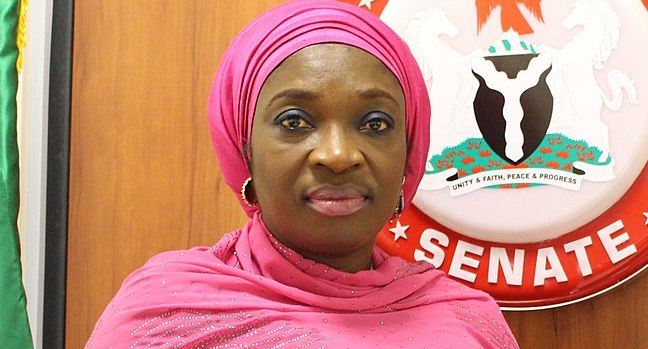 2023: Hold Your Representatives Accountable - Ekwunife Tells Constituents