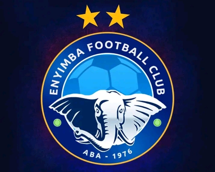 NPFL club Enyimba install free WiFi in stadium