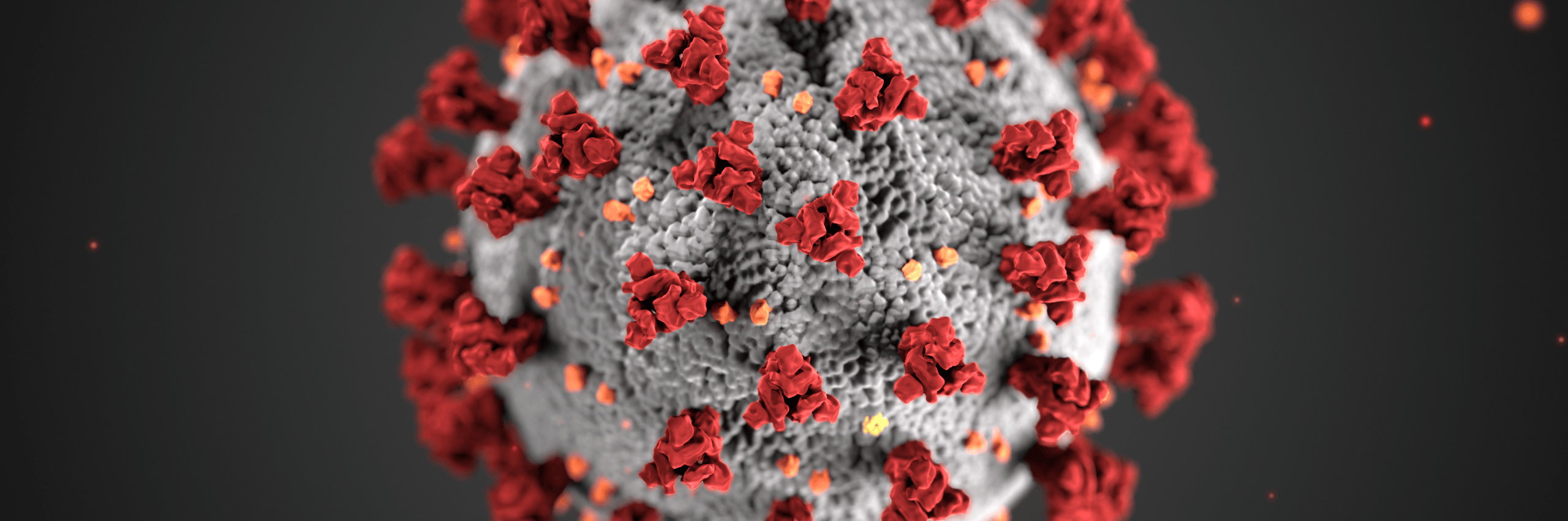 Top seven Twitter accounts to follow for coronavirus updates