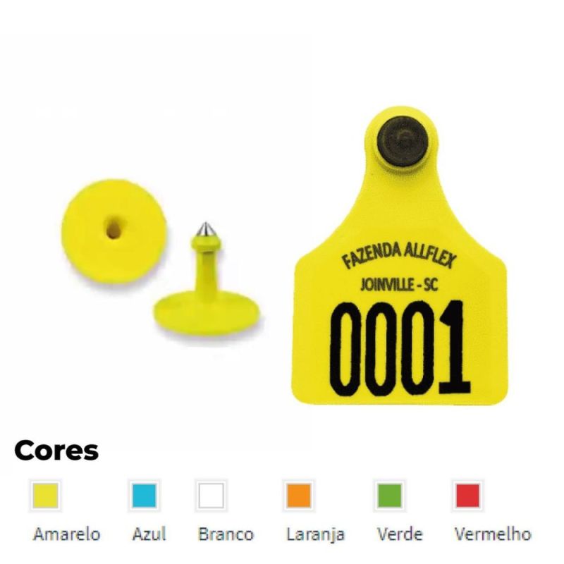 54 76 To10 Gr - Landscape Illustrations - Professional Ultra HD Collection