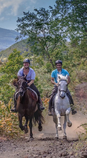Home In The Saddle
