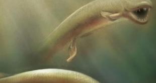 main image612552c2d9deb