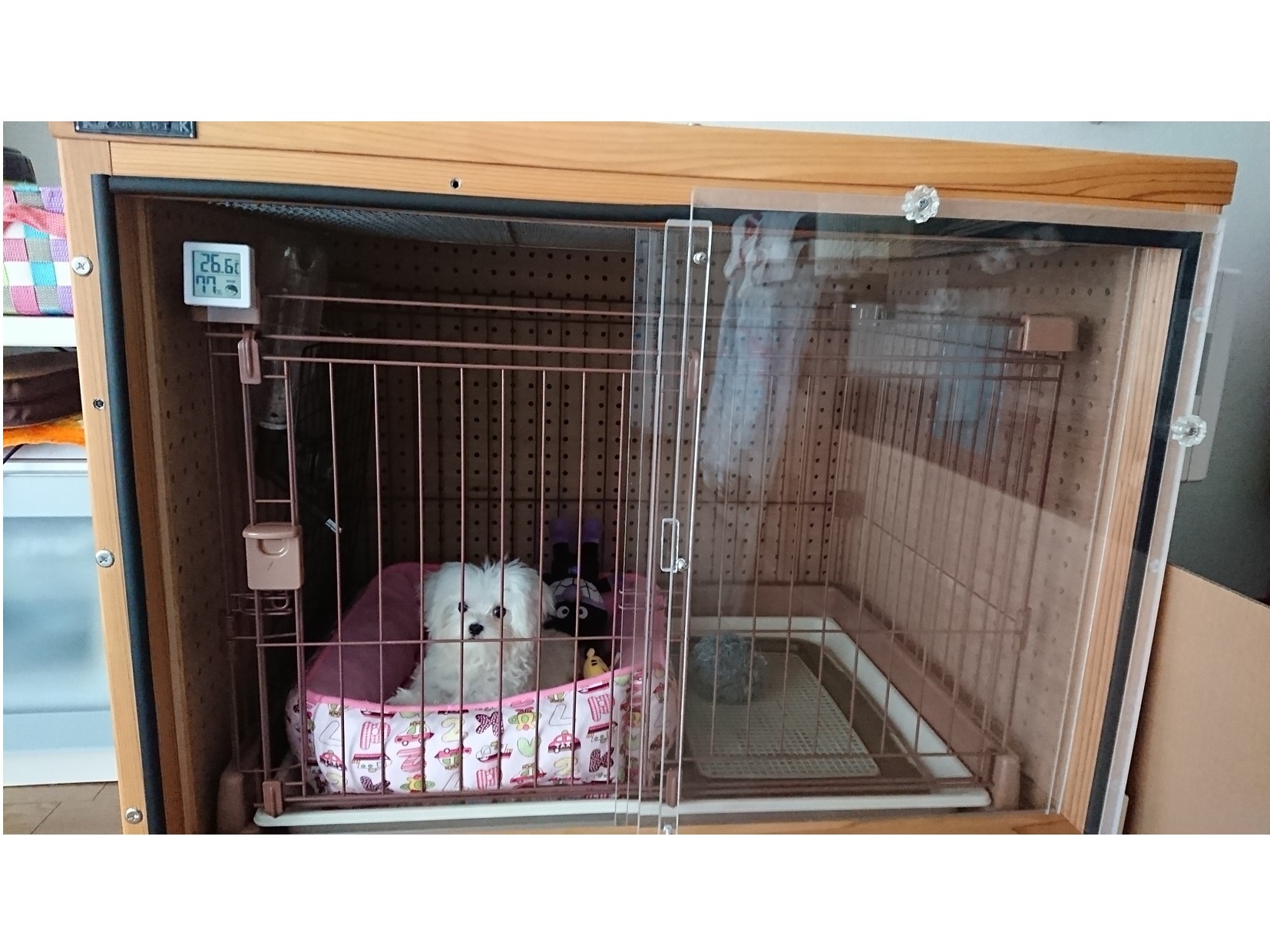 ふるさと納税で無駄吠え対策商品を ふるさと納税で無駄吠え対策商品を