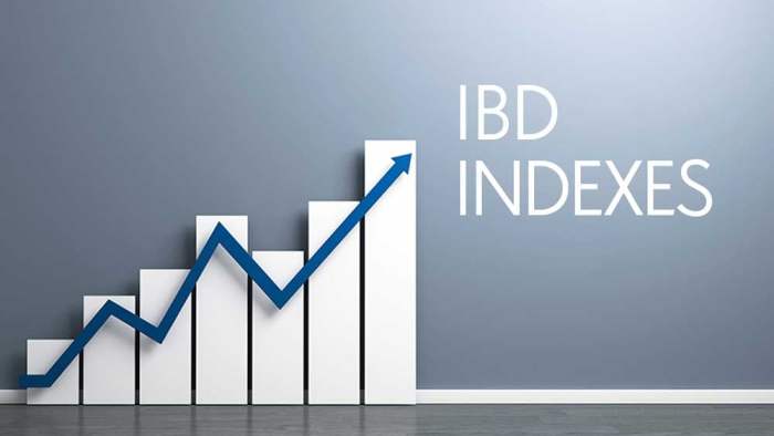 What is IBD in Finance? A Deep Dive What is IBD in Finance? A Deep Dive