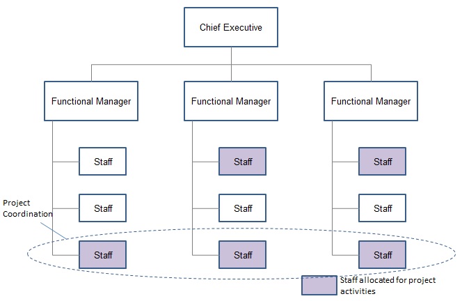 Weak Project Matrix 2.ORGANIZATIONAL INFLUENCES AND PROJECT LIFECYCLE