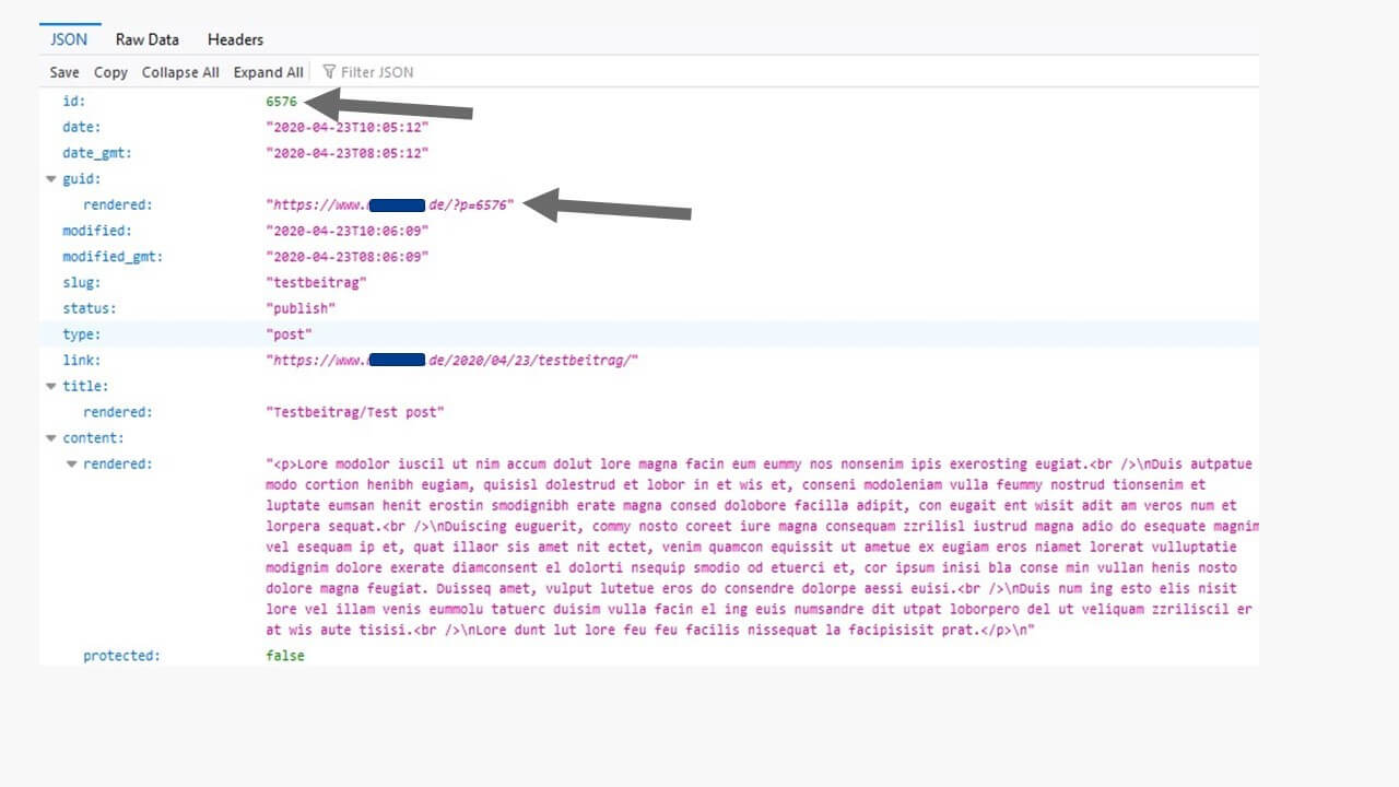 When building a custom wordpress api endpoint to pull data from. WordPress REST API: quick access to WordPress content - IONOS