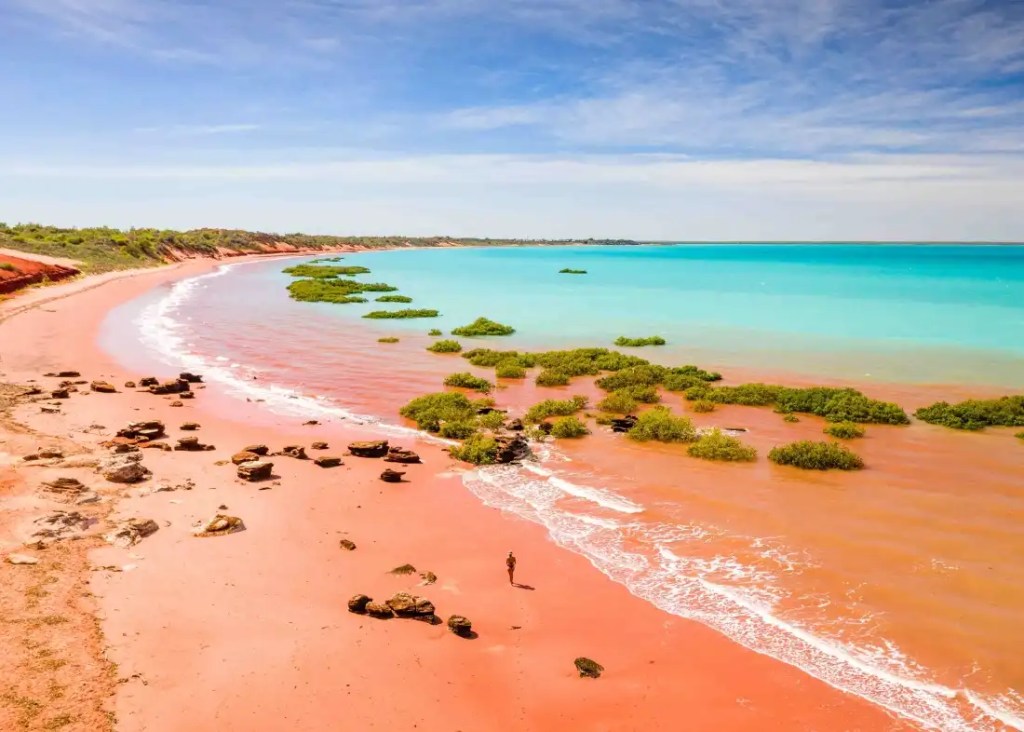 布魯姆 (Broome)