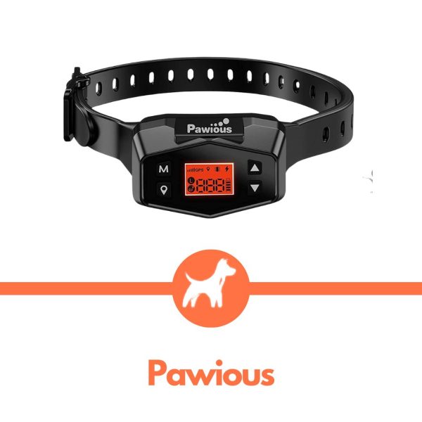6 best gps dog fences (i tested it all in september 2023)