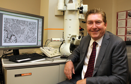 WAFSF stem cell vision talks: Hinton, Tsukamoto, Klassen