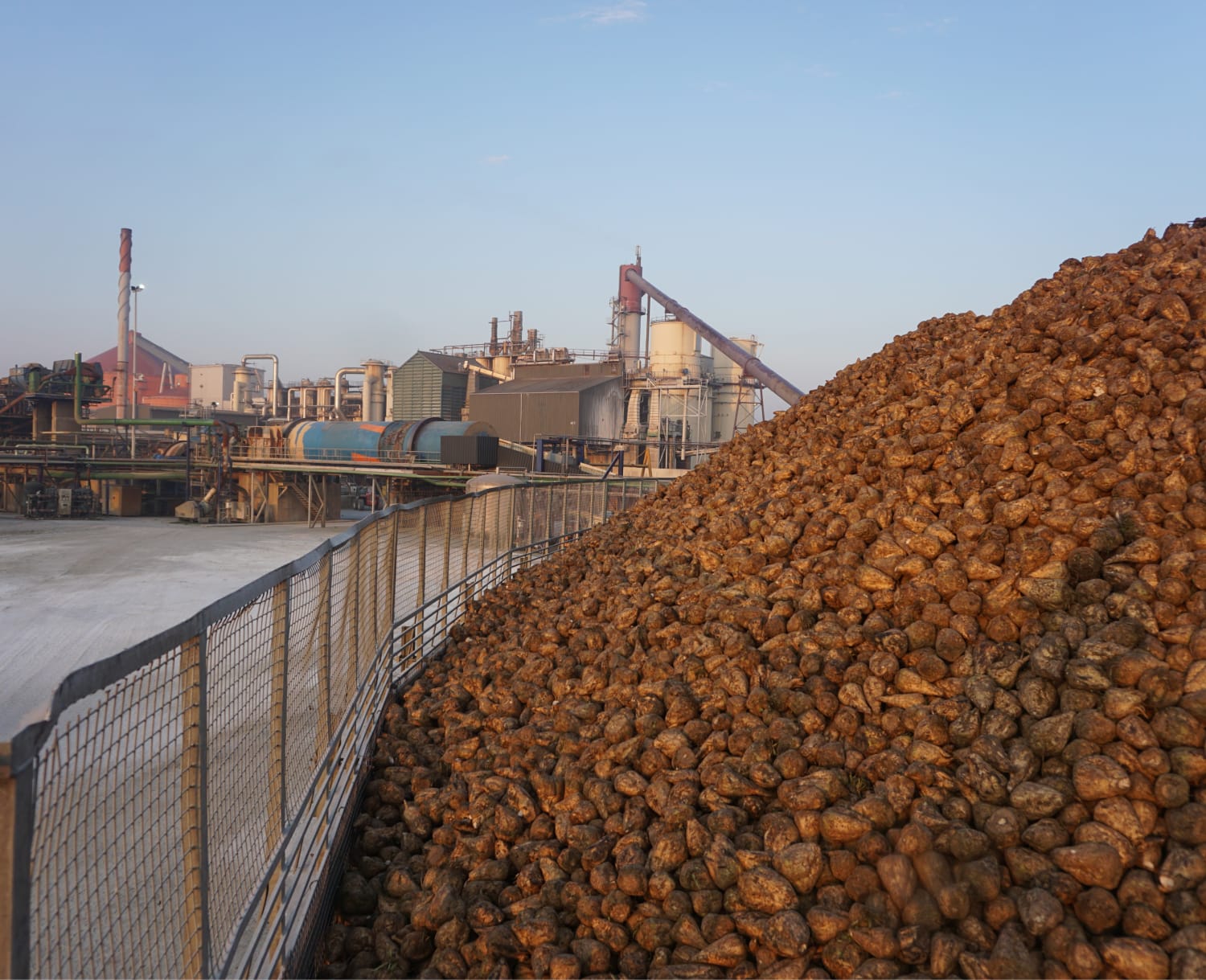 Фотографии, отзывы туристов и полезные советы. Guided Tour Iscal Sugar Groupe