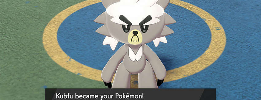 Dojo Guide for Isle of Armor in Pokémon Sword and Shield