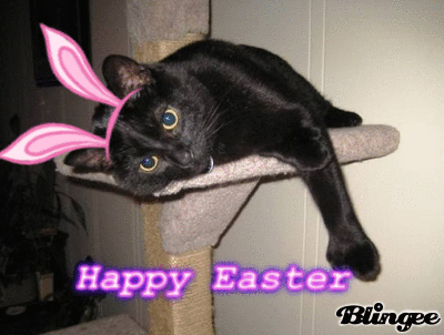Easy E Easter Sunday The Island Cats Every Cat Wants To Be An Island Cat