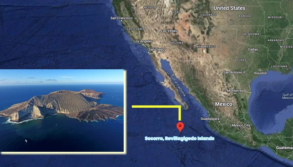 Socorro Island, Mexico-23567732235