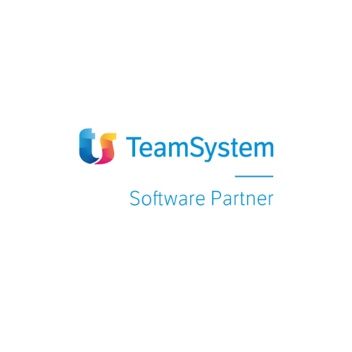 TeamSystem TeamSystem Software Partner