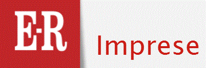 Risultati immagini per er imprese