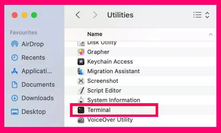 open Terminal to flush DNS on macOS