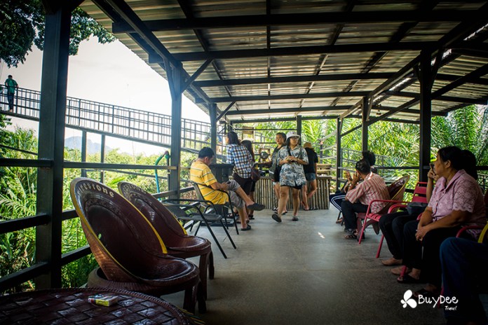 ร้านกาแฟบนต้นไม้ (Tree Cups Phangnga Coffee) พังงา