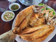 20230625_131501 20230625_131501