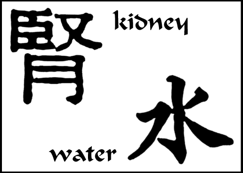 The 5 Organs Network Of Chinese Medicine Kidney