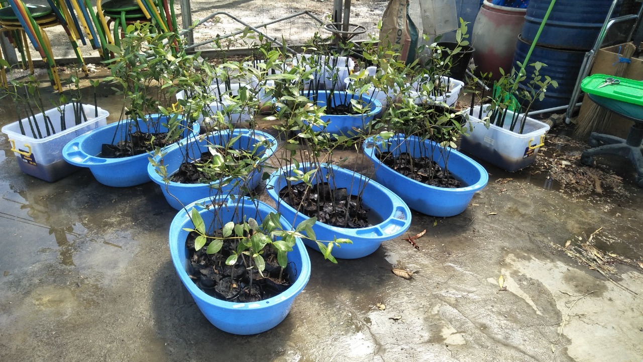 Ubah Air Asin Menjadi Tawar, ITS Kembangkan Teknologi Biodesalinasi - ITS  News
