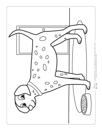 pets coloring pages for kids itsybitsyfun com